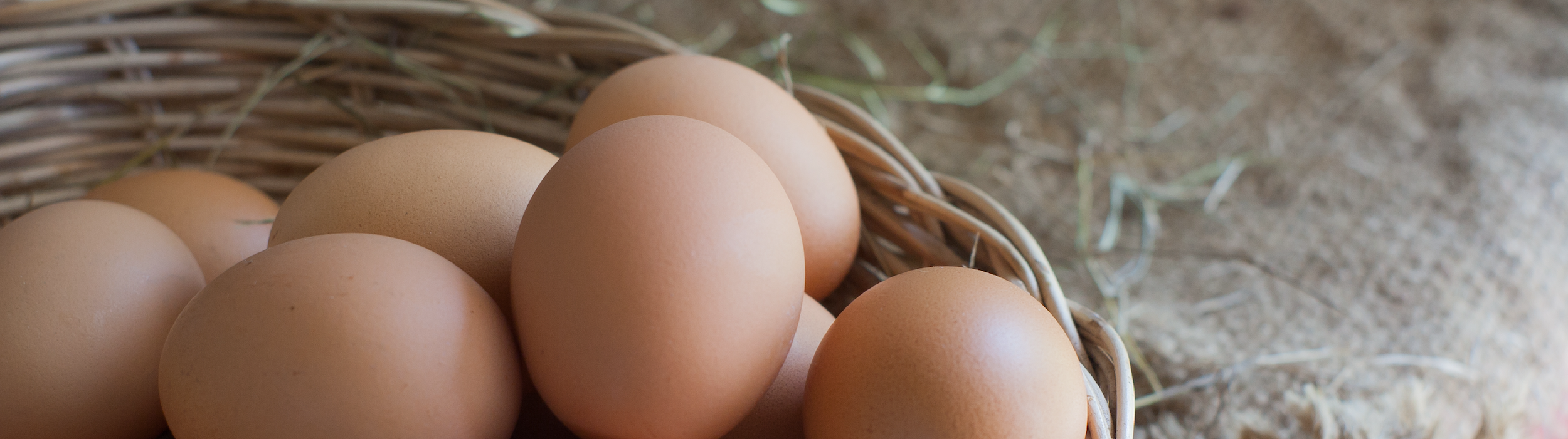 Benefits of Farm Fresh Eggs